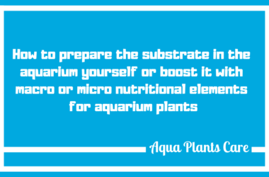 How to prepare your own substrate for aquarium plants Peat clay balls root fertilizer uk shop