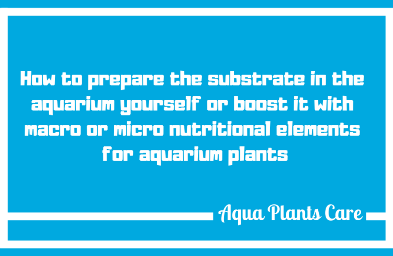 How to prepare your own substrate for aquarium plants Peat clay balls root fertilizer uk shop