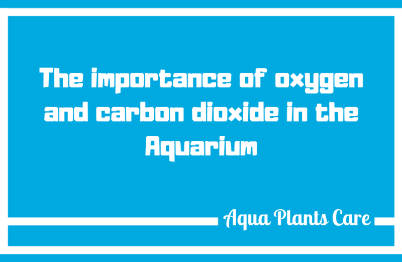 The importance of oxygen and carbon dioxide The most recommended dose of carbon dioxide is 20-35mg/liter and this must be maintained to ensure plant growth. Aqua Plants Care